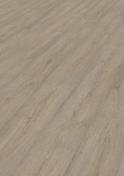 Printkork Eiche Burgund